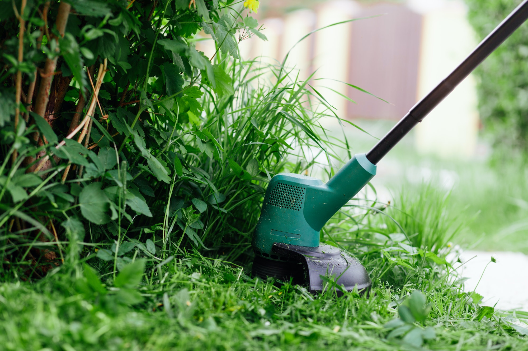 Mowing high grass with electric trimmer. Lawn care concept