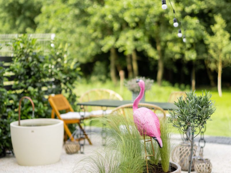 beautiful-garden-in-natural-style-2021-09-04-12-15-54-utc.jpg